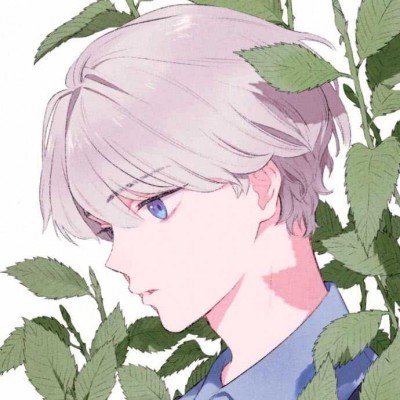 电影青铜葵花定档